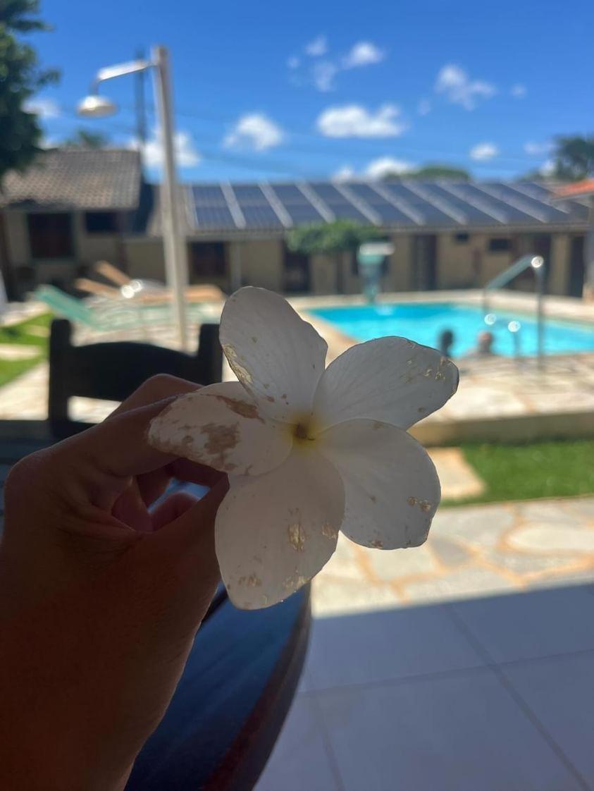 Brisa Da Serra Hotel Pousada Pirenópolis エクステリア 写真