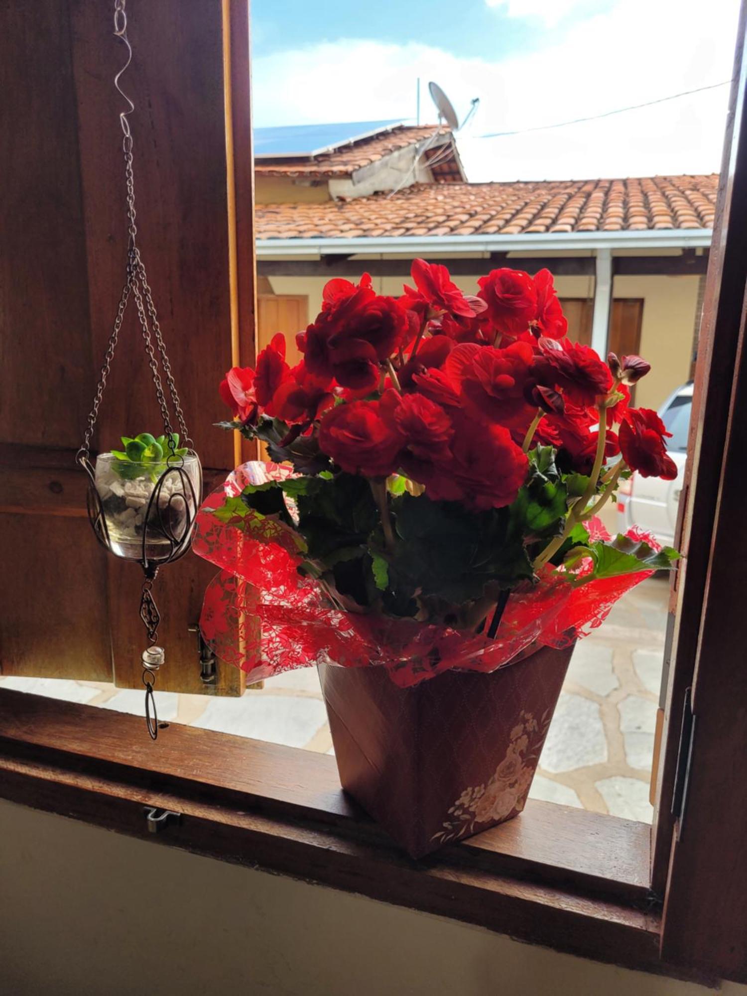 Brisa Da Serra Hotel Pousada Pirenópolis エクステリア 写真